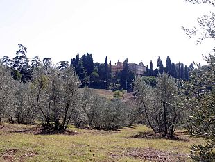 a905251330-mondeggi-lappeggi-l-affidamento-in-gestione-di-tutti-i-terreni-agricoli