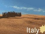 a701252334-monsanto-italia-nei-prossimi-giorni-via-i-cipressi-dal-sito