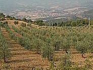 a501101725-guerra-di-liberazione-sentieri-una-guida-storico-escursionistica-e-un-monumento-del-mugello-e-della-montagna-fiorentina
