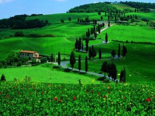 a806131344-fotografia-in-libreria-i-toscana-quattro-stagioni-i-di-guido-persichino