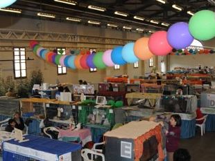 b003281814-boom-di-presenze-per-la-mostra-internazionale-felina