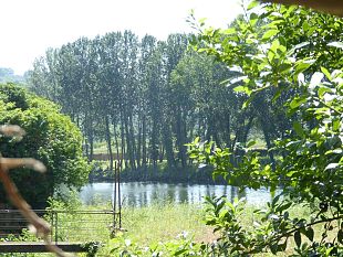 arezzo-tac-agli-alberi-lungo-i-corsi-dacqua