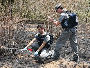 lucca-corpo-forestale-dello-stato-ferma-in-flagranza-di-reato-lincendiario-dei-monti-pisani