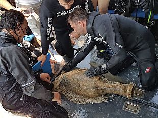 elba-segnalata-e-recuperata-anfora-greco-romana