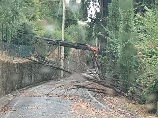 devastazione-in-toscana