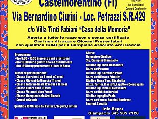 castelfiorentino-esposizione-nazionale-canina-di-bellezza