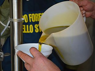 olio-in-nero-toscana-sconvolta-attenti-a-cosa-beviamo