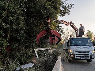 intervento-straordinario-per-ripulire-larea-del-poderaccio