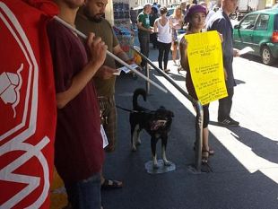 occupazione-lampo-tra-le-vie-sella-e-campofiore