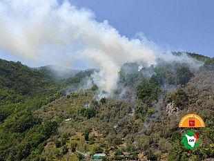 incendio-a-monzone-fronte-di-fiamma-sotto-controllo