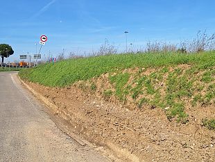 impianto-del-ferrale-ad-ugnano-alcune-domande