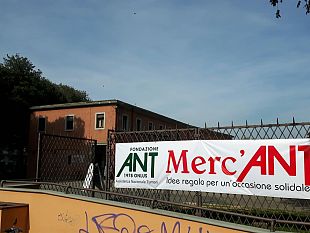 la-17-edizione-del-mercant-dautunno