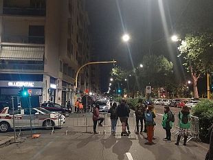 abbattimento-dei-pini-in-viale-redi-il