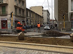 tramvia-alberi-nuovi-allo-statuto-in-attesa-della-linea-3