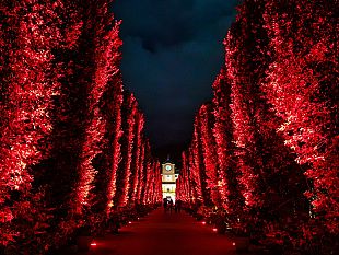 halloween-celebration-carnival-2025