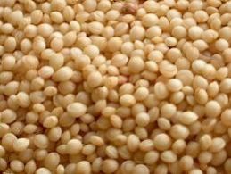 superfood-in-toscana-coltivando-quinoa-e-amaranto