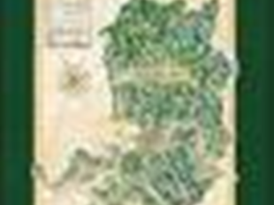 centri-storici-fiorentini-itinerario-illustrato-negli-acquerelli-di-massimo-tosi