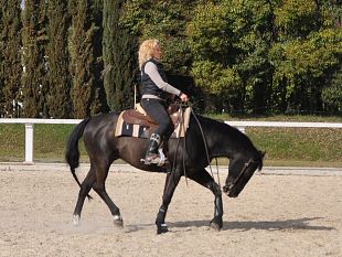 il-vecchio-west-e-al-parco-delle-cascine-al-via-il-primo-corso-di-monta-allamericana-per-principianti