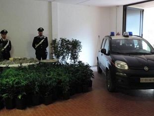 droga-alle-porte-di-firenze-nascondigli-e-passaggi-segreti