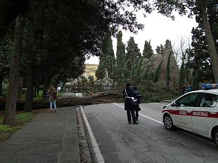 vento-in-toscana-tempesta-e-danni-video-e-foto-sul-web