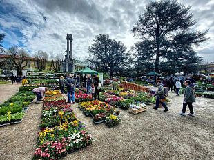 fiorinfiera-2024-a-borgo-san-lorenzo-con-60-espositori