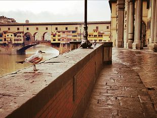 firenze-senza-turisti-dallestero-per-quanti-anni