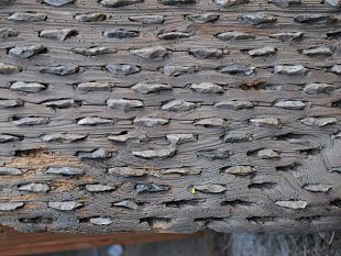 archeologia-le-slitte-da-trebbiatura-gia-in-uso-nel-6500-ac