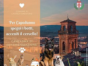 capodanno-niente-botti-e-zero-vetri