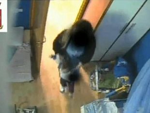 telecamere-asilo-sgomento-e-rabbia-in-toscana-per-maltrattamenti