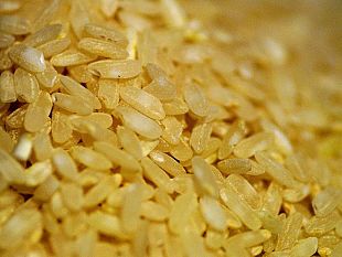 obbligo-di-indicazione-dellorigine-del-riso-e-del-grano-per-la-pasta