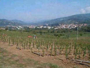 anno-internazionale-del-bardiccio-sabato-la-conclusione