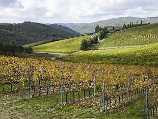 paesaggio-il-chianti-sara-inserito-nel-patrimonio-unesco