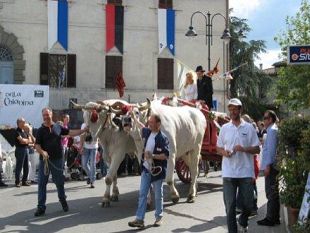b105241518-la-valle-del-gigante-bianco-tra-gastronomia-arte-e-lotta-alle-mafie
