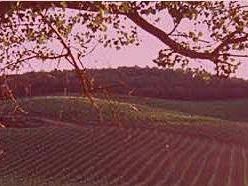 a911151151-due-giorni-di-degustazioni-per-il-chianti-rufina