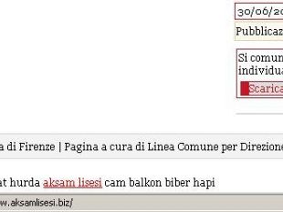 b004281306-craccato-il-sito-della-provincia-di-firenze