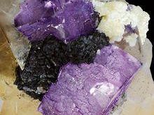 a903311413-museo-di-storia-naturale-mostra-di-minerali-da-tutto-il-mondo-dal-1-aprile-al-1-ottobre-2009