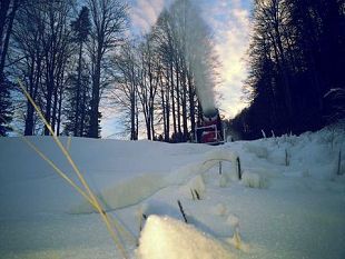 festivita-salve-in-montagna