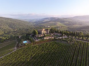 il-vino-ed-il-bosco-alberi-che-fanno-bene-ai-vigneti