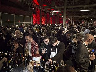 chianti-lovers-anteprima-consorzio-vino-chianti-e-consorzio-tutela-morellino-di-scansano