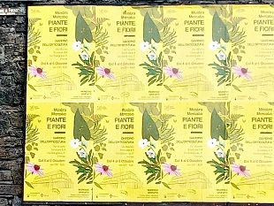 orticoltura-torna-la-mostra-mercato-di-piante-e-fiori