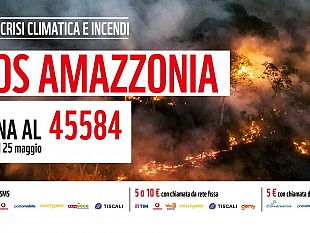 sos-amazzonia-wwf-mancano-solo-15-anni-alla-perdita-irreversibile