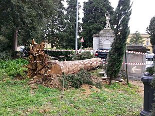 domani-allerta-gialla-per-il-vento