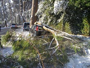 b012181438-le-testimonianze-dei-cittadini-danneggiati-dal-blocco-della-mobilita