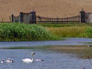 a406101223-apertura-straordinaria-oasi-di-gabbianello