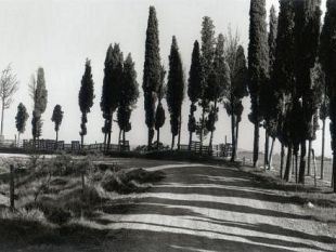 a807111358-fotografia-a-firenze-la-mostra-i-paesaggi-italiani-i-di-george-tatge