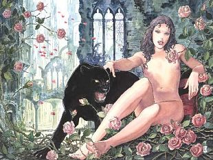 b107211305-le-stanze-del-desiderio-antologica-del-maestro-dell-eros-manara-a-siena