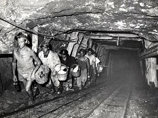 b303121435-i-minatori-del-giglio