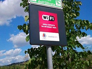 i-primati-dei-toscani-che-navigano-in-internet