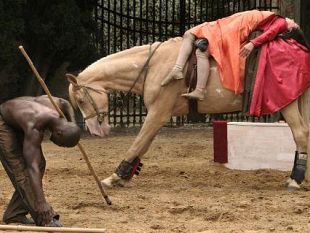 a705231338-fabbrica-europa-domani-lo-spettacolo-equestre-wild