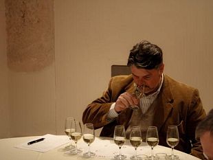 b103122031-pietrasanta-wine-art-festival-edizione-2011